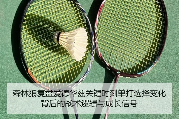 森林狼复盘爱德华兹关键时刻单打选择变化背后的战术逻辑与成长信号